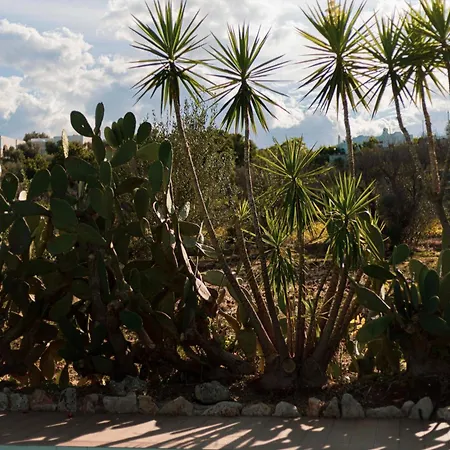 Holiday home Trullo Fioccarelli